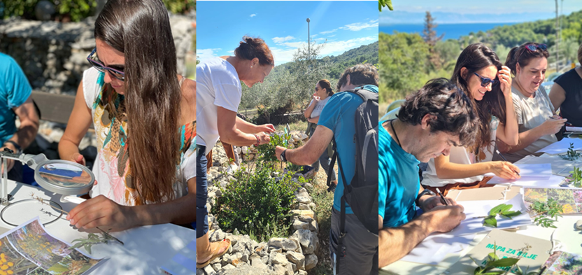 Kolaž fotografija s testiranja aranžmana u sklopu projekta Destimed Plus na Cresu i Lošinju