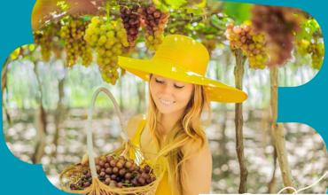 Community Led Tourism as a Sustainable Developm...